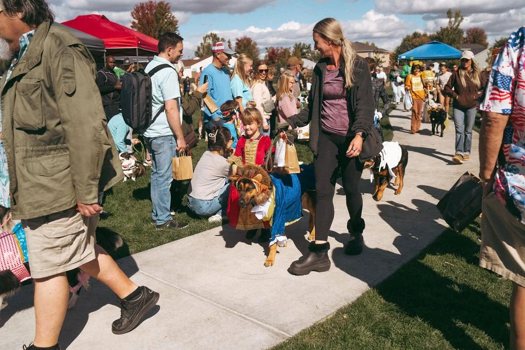 handandpawpetfair2025(127of150).jpg