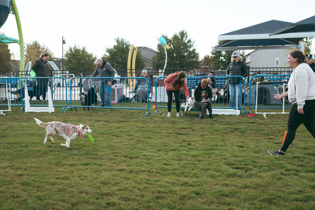 happetfair2026(54of161).jpg
