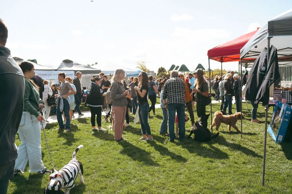 handandpawpetfair2025(87of150).jpg