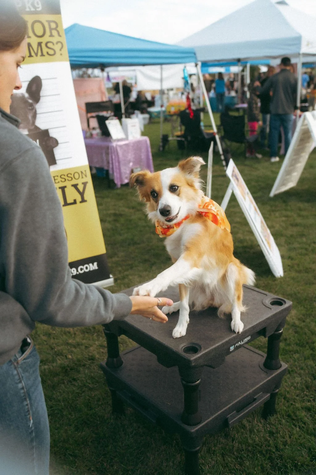 handandpawpetfair2025(15of150).jpg