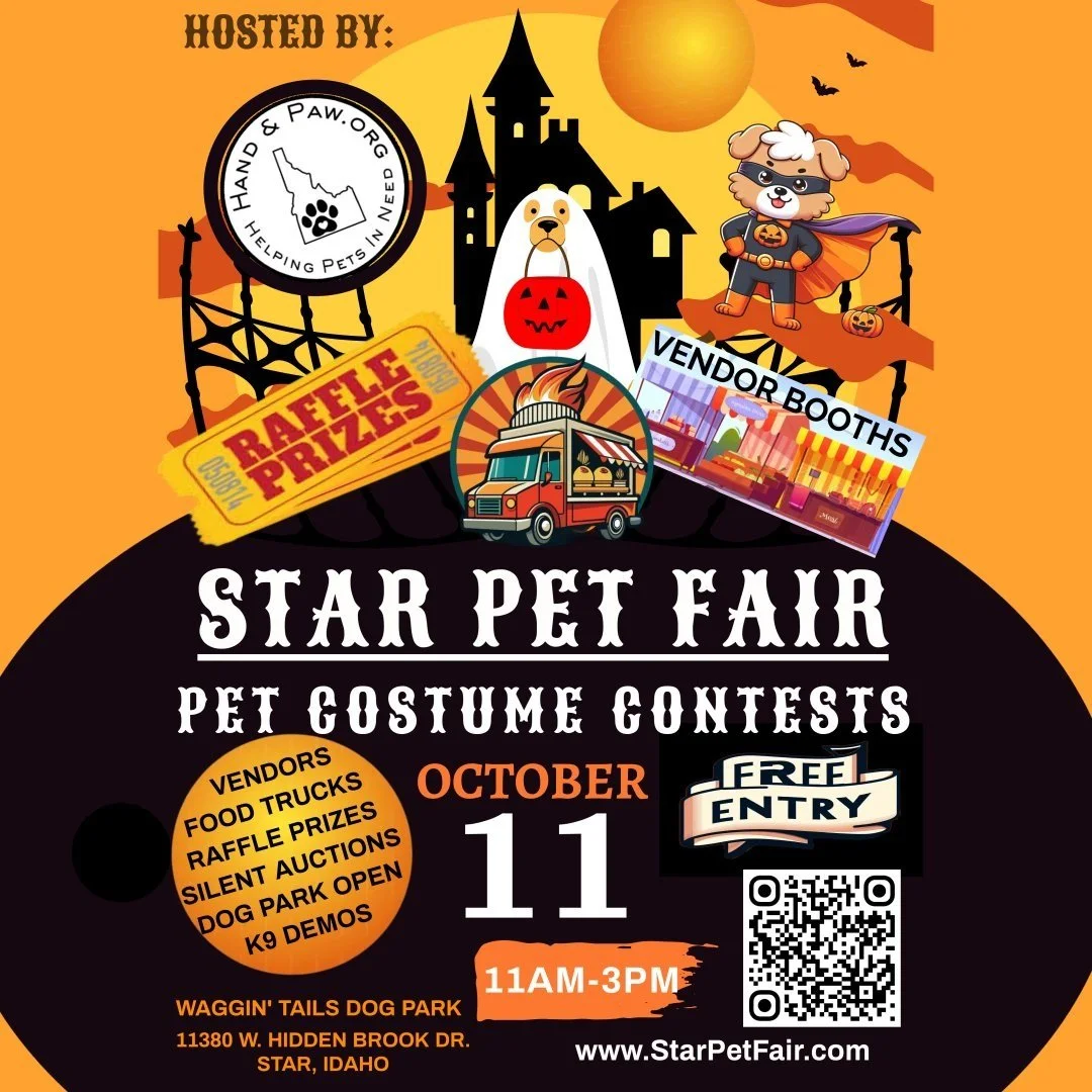 2024 Star Pet Fair Images