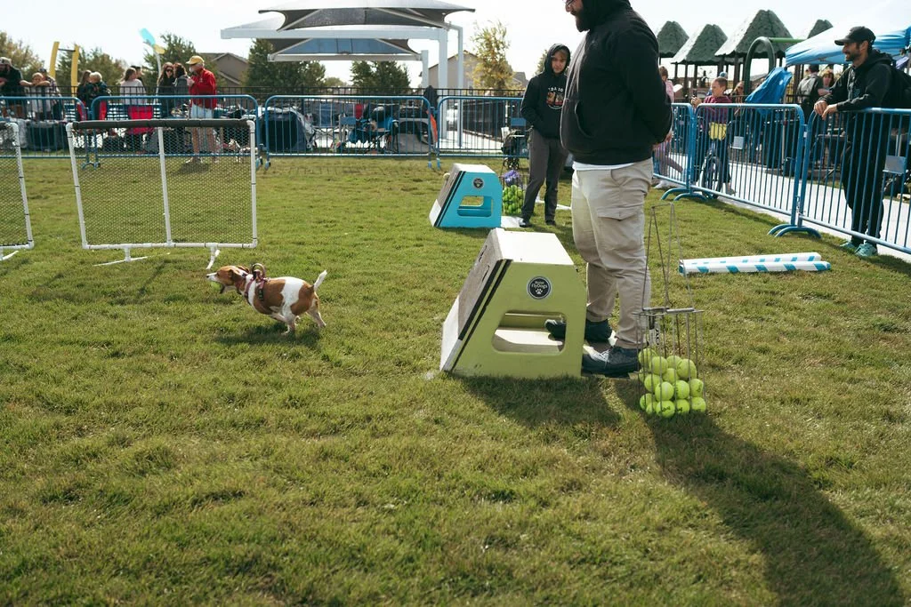 happetfair2026(115of161).jpg