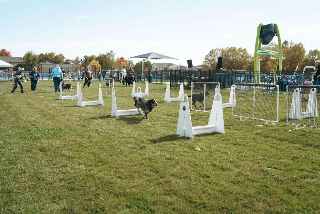 happetfair2026(116of161).jpg