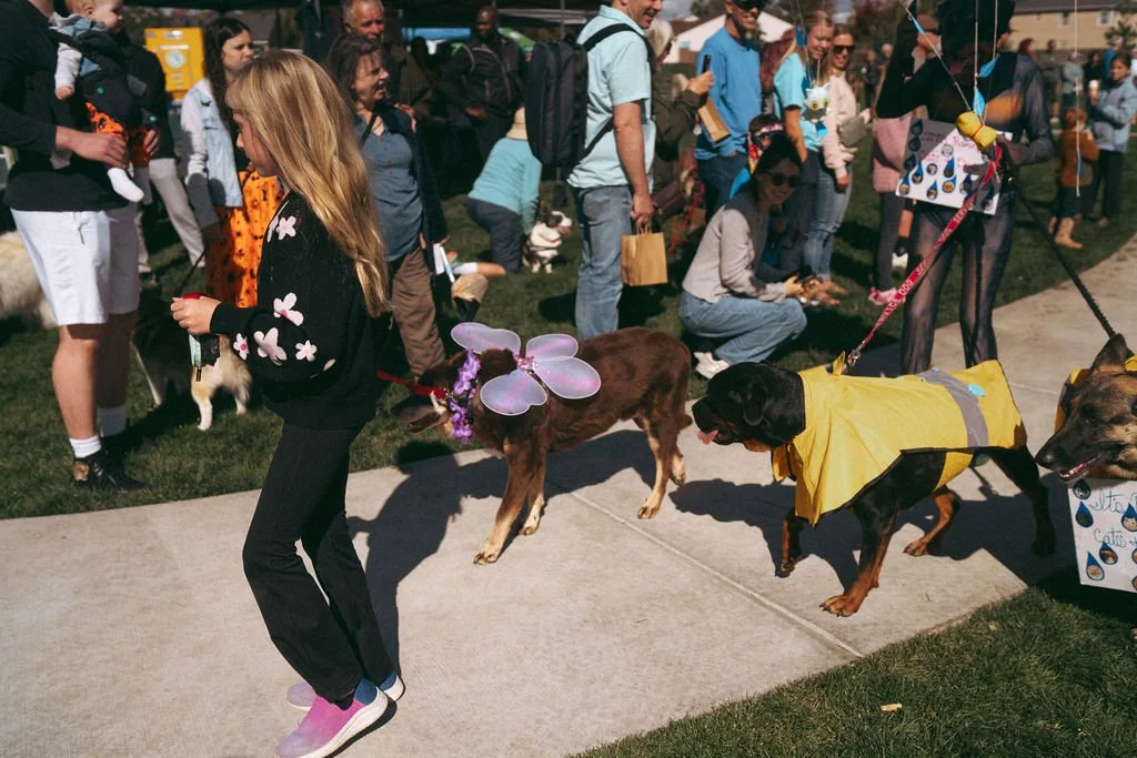 handandpawpetfair2025(138of150).jpg