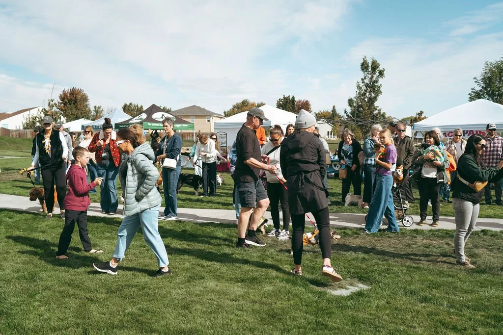happetfair2026(100of161).jpg