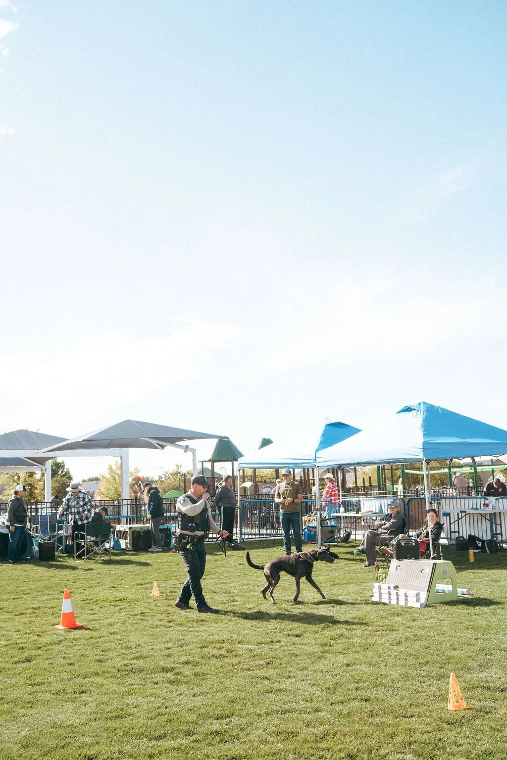 handandpawpetfair2025(50of150).jpg