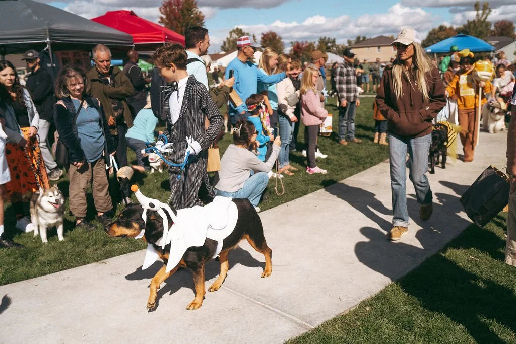 handandpawpetfair2025(129of150).jpg