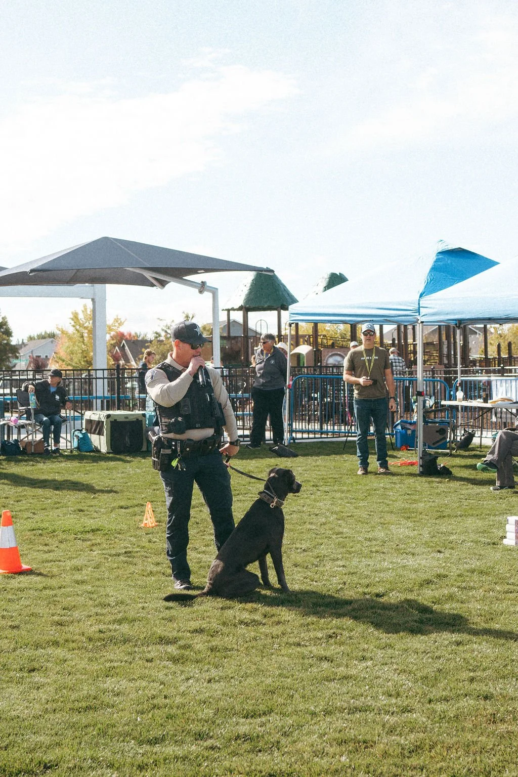 handandpawpetfair2025(53of150).jpg