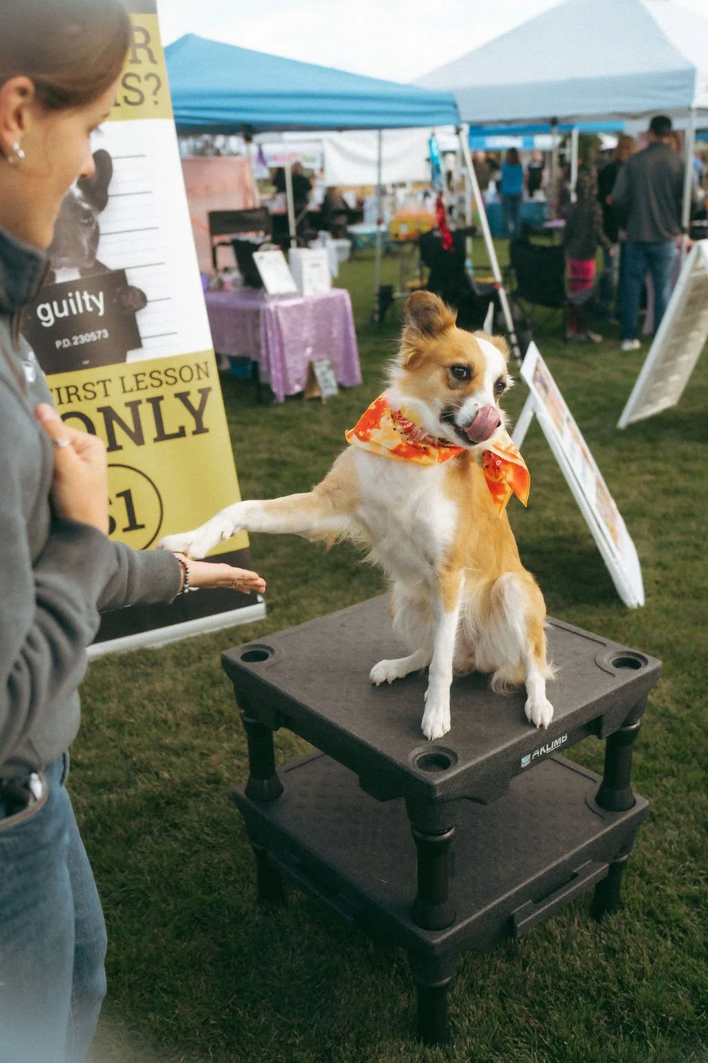 handandpawpetfair2025(16of150).jpg
