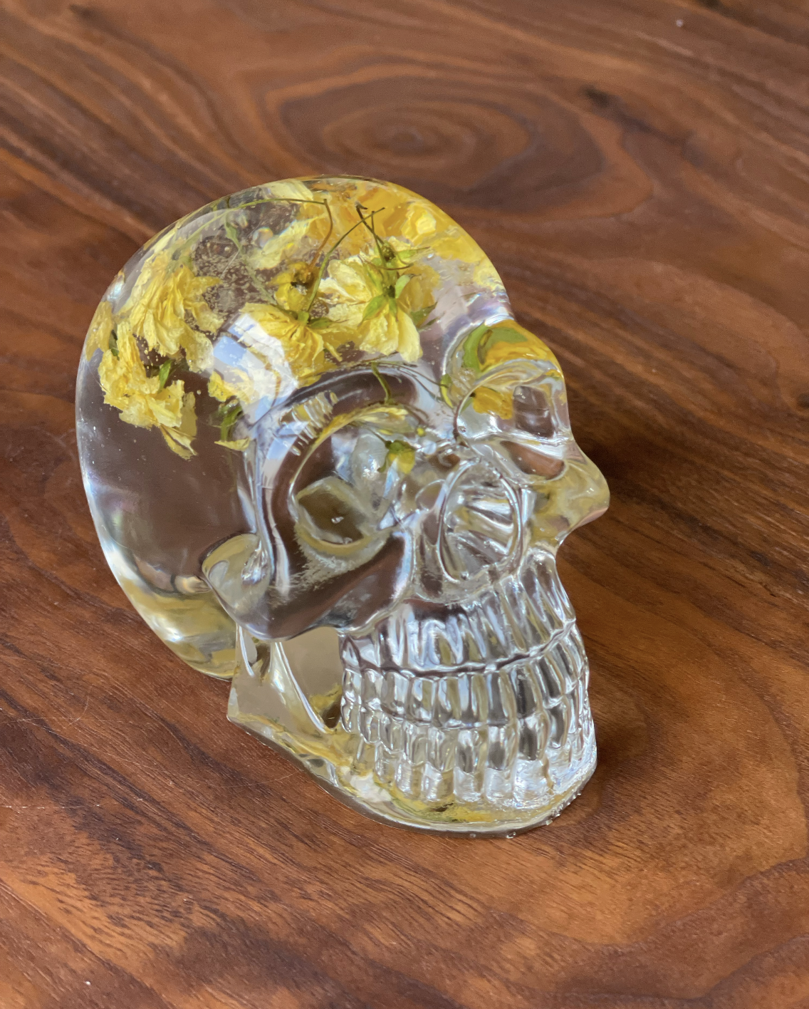 Screen Shot 2023-07-14 at 5.37.19 PM.png