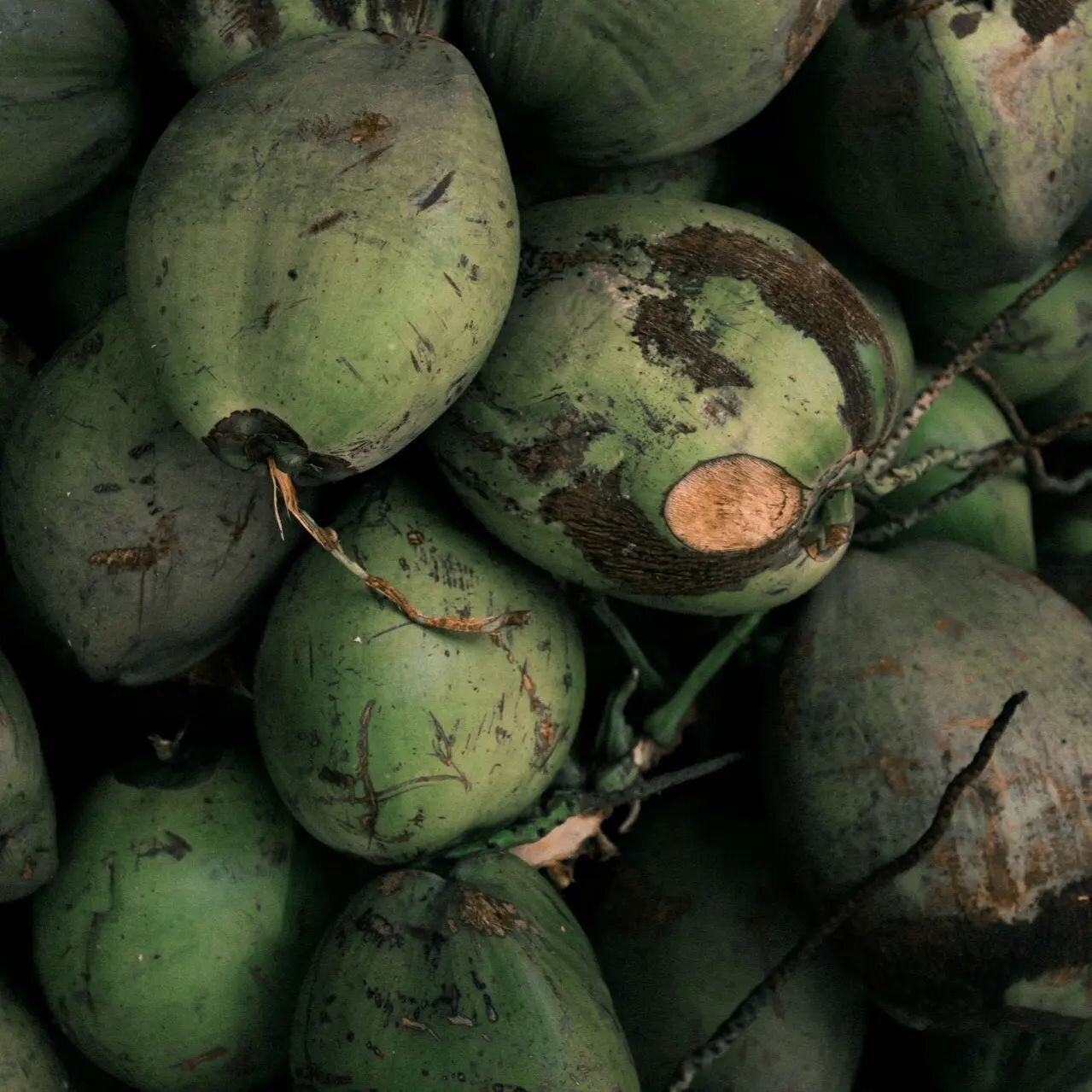 Coconut water may not be all the rage these days but it's still a lovely way to hydrate and a great tasting alternative to synthetic flavours... 🖤🥥 #yesbeautifulearth #coconutwater #crazyforcoconuts #hydration #lovenature 📷 credit: Jakob Owens