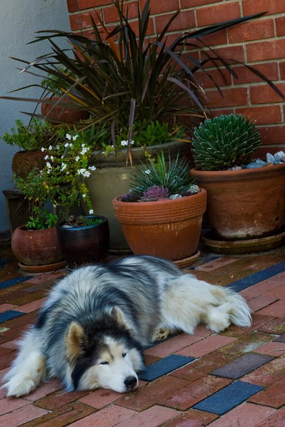 garden.creatures035.jpg