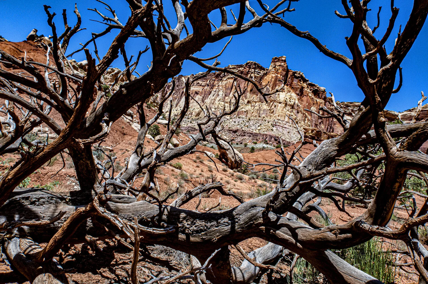 Utah Roadtrip - Thursday June 12th, 2020 - Capitol Reef NP