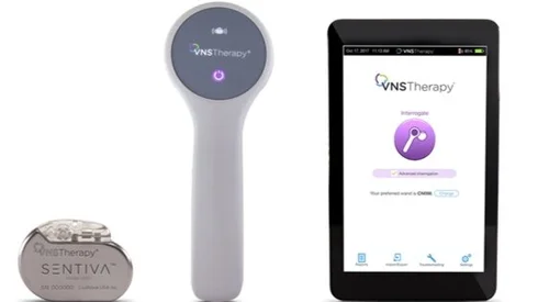 About VNS Therapy® — Go North Medical Neuro