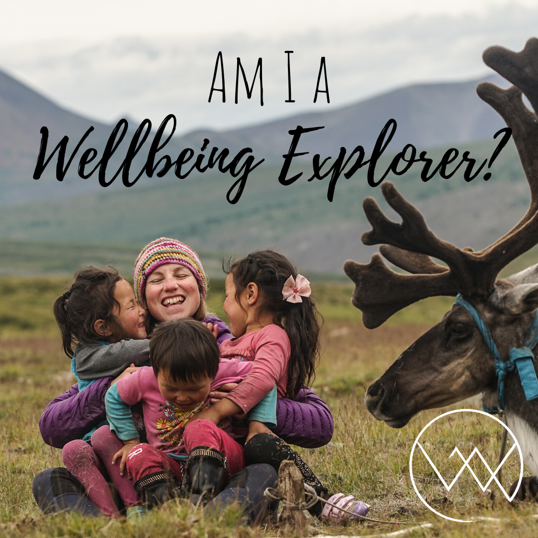 Am I a Wellbeing Explorer?