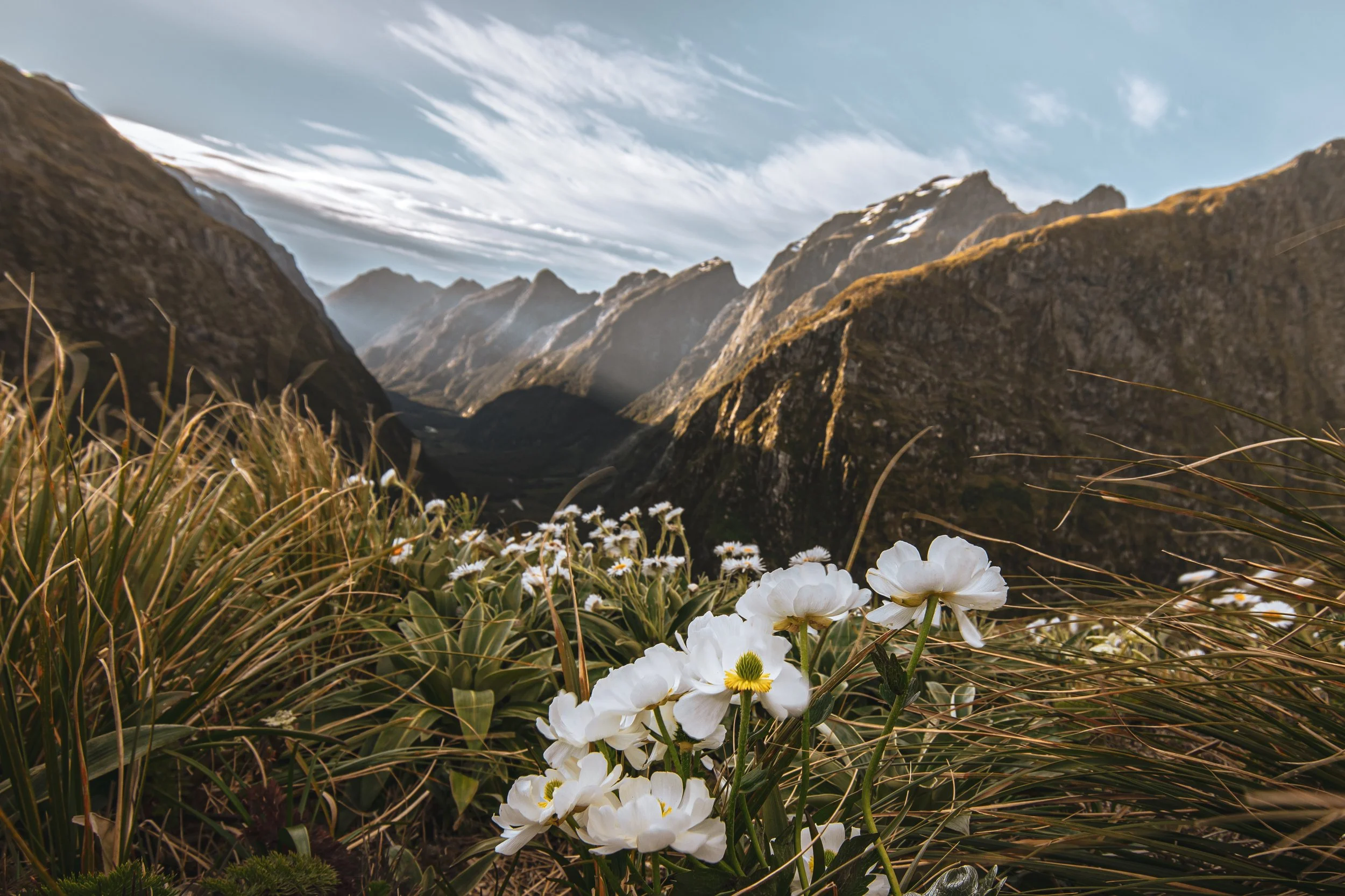 Milford Track