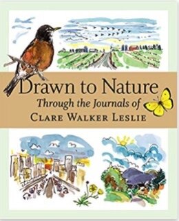 Introduction to Nature Journaling - Wandering Leaves Studio