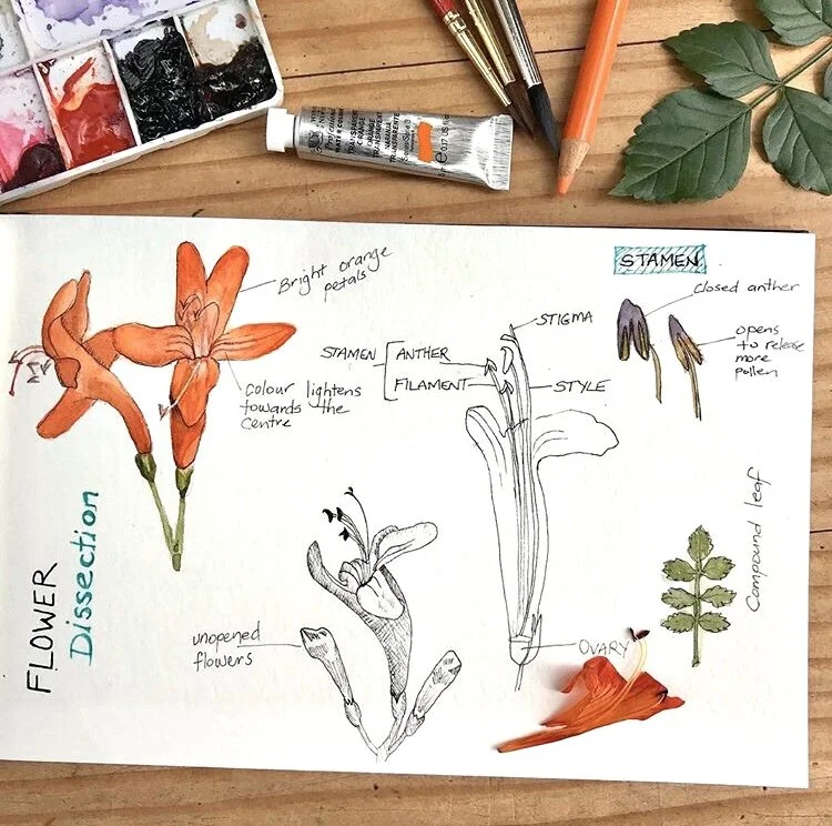 10 things to include on your journal page