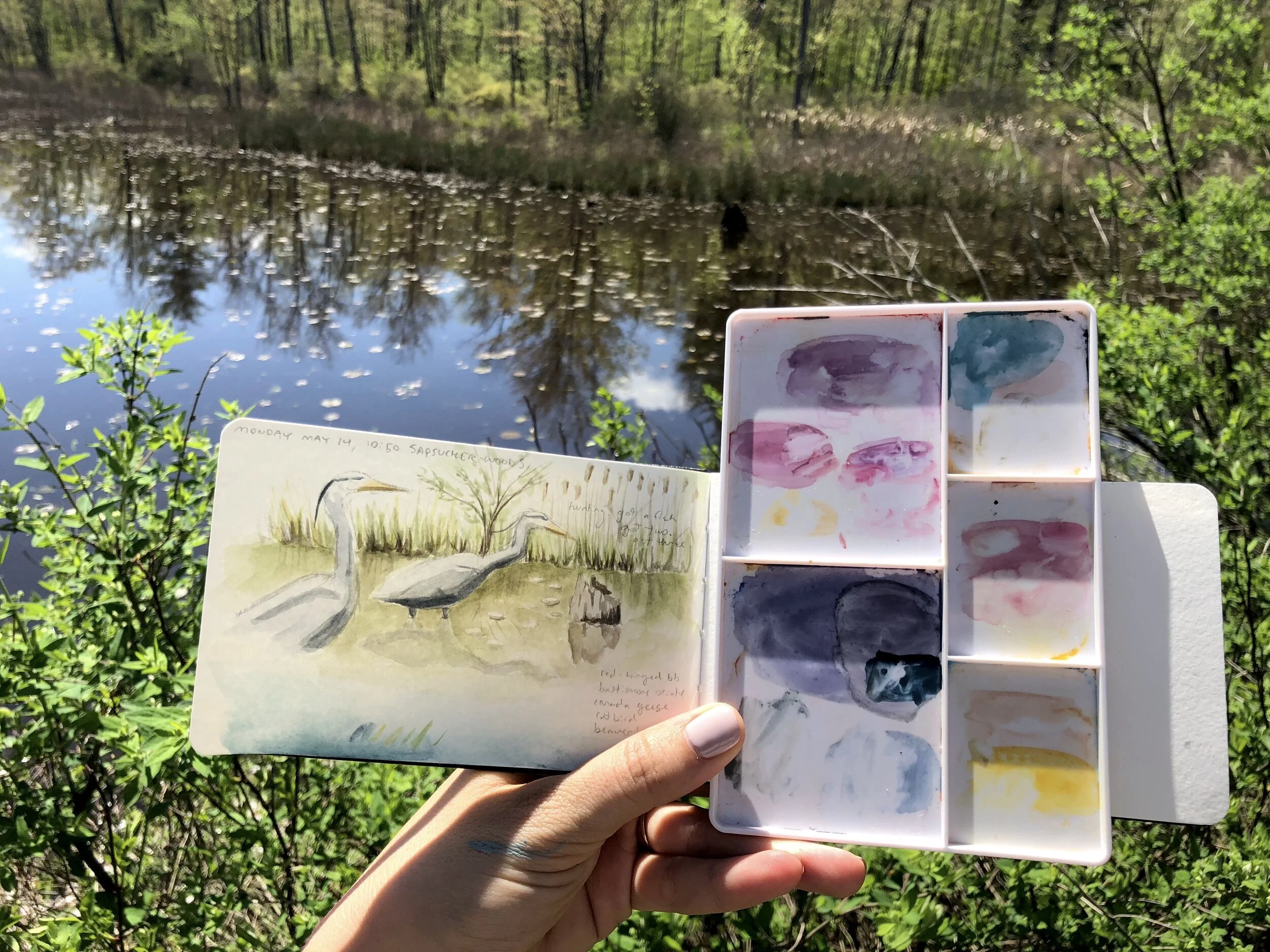 Connecting with nature through art