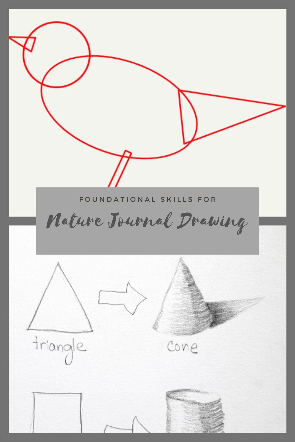 Nature drawing skills: mini-tutorial — Nature Week