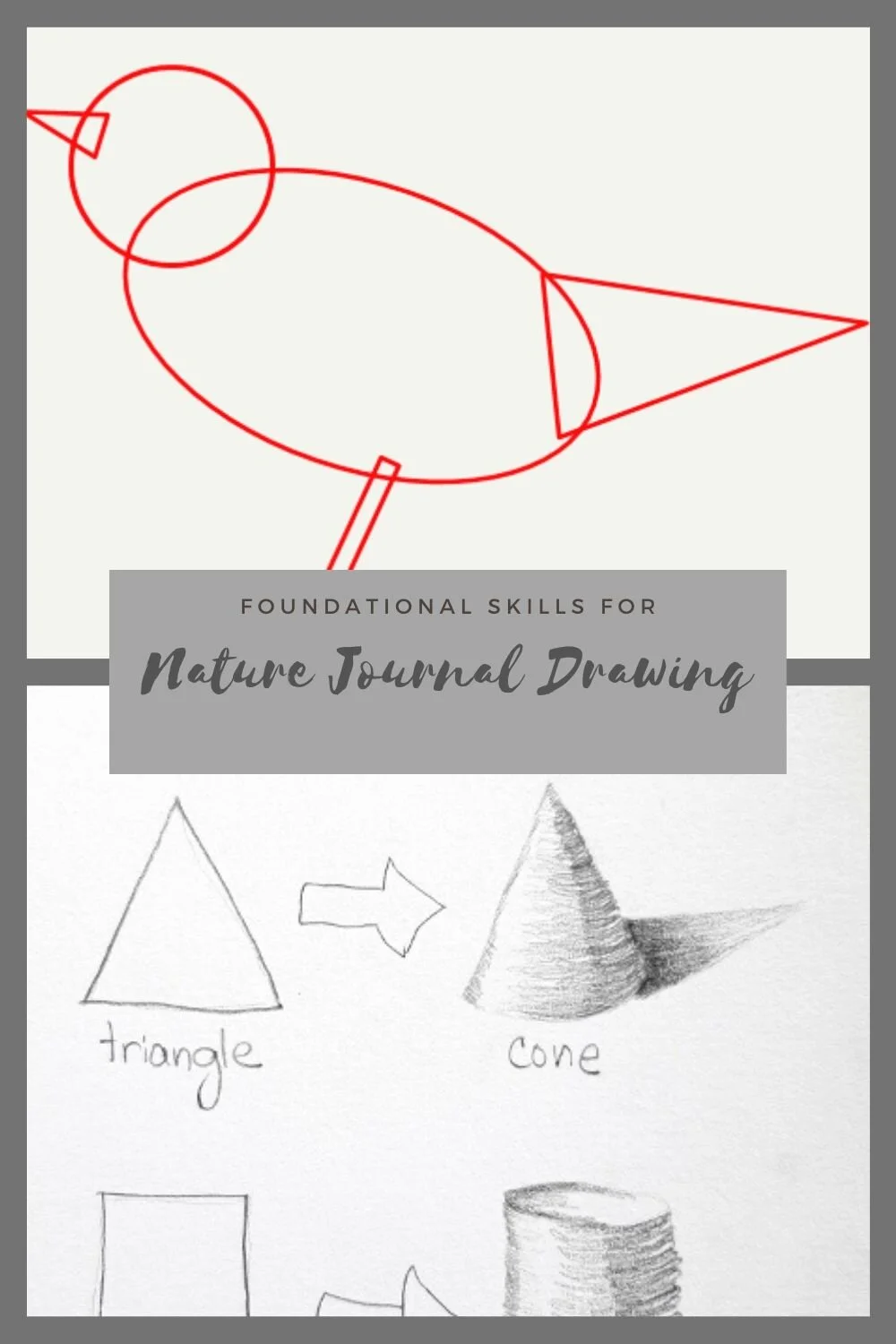 Nature journal drawing skills: A mini-tutorial