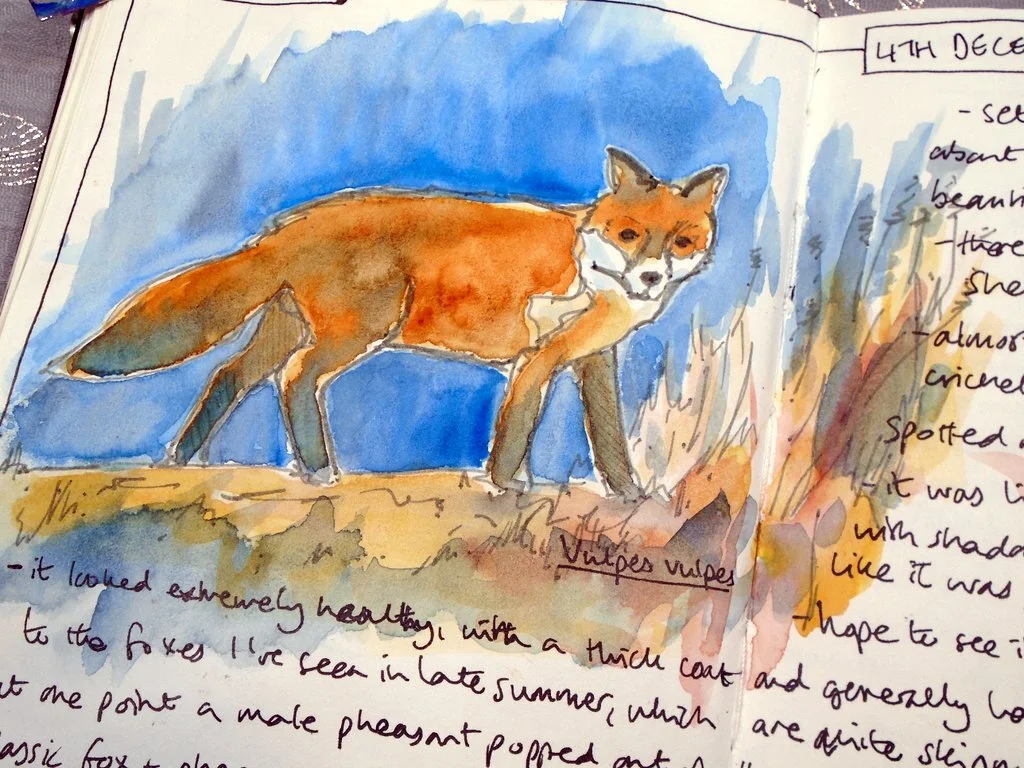 Encounters with nature: Capturing memories of your natural world