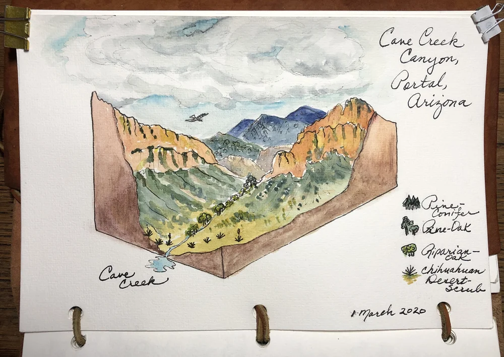 Visualizing landscapes: How to render 3D block maps — Nature Journaling ...