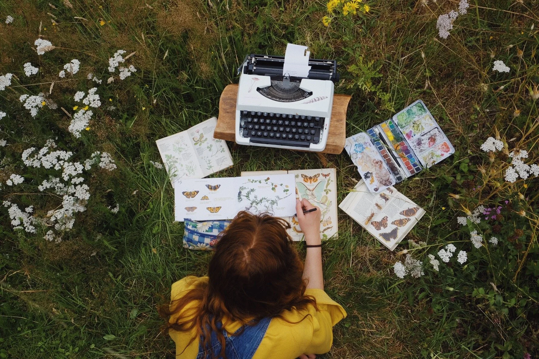 My journey into nature journaling 