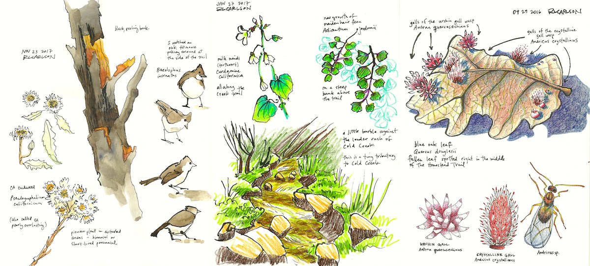 Cultivating a deep sense of place and time