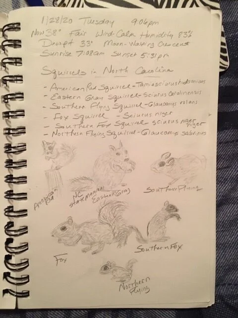 Journaling the wild places within and without 