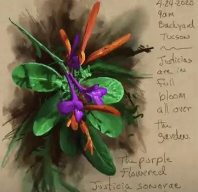 Digital nature journaling with Procreate