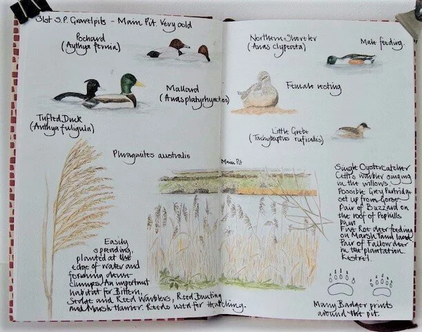 A journaling journey