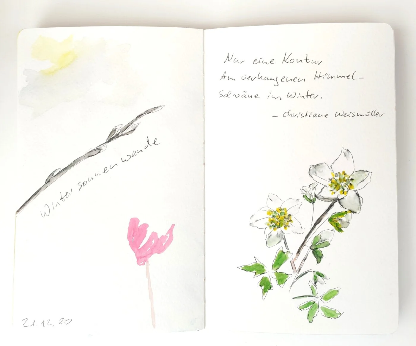 Nature journaling as a source of creativity 