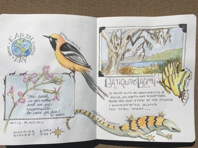  How listening to my inner voice led me to my nature journaling journey…