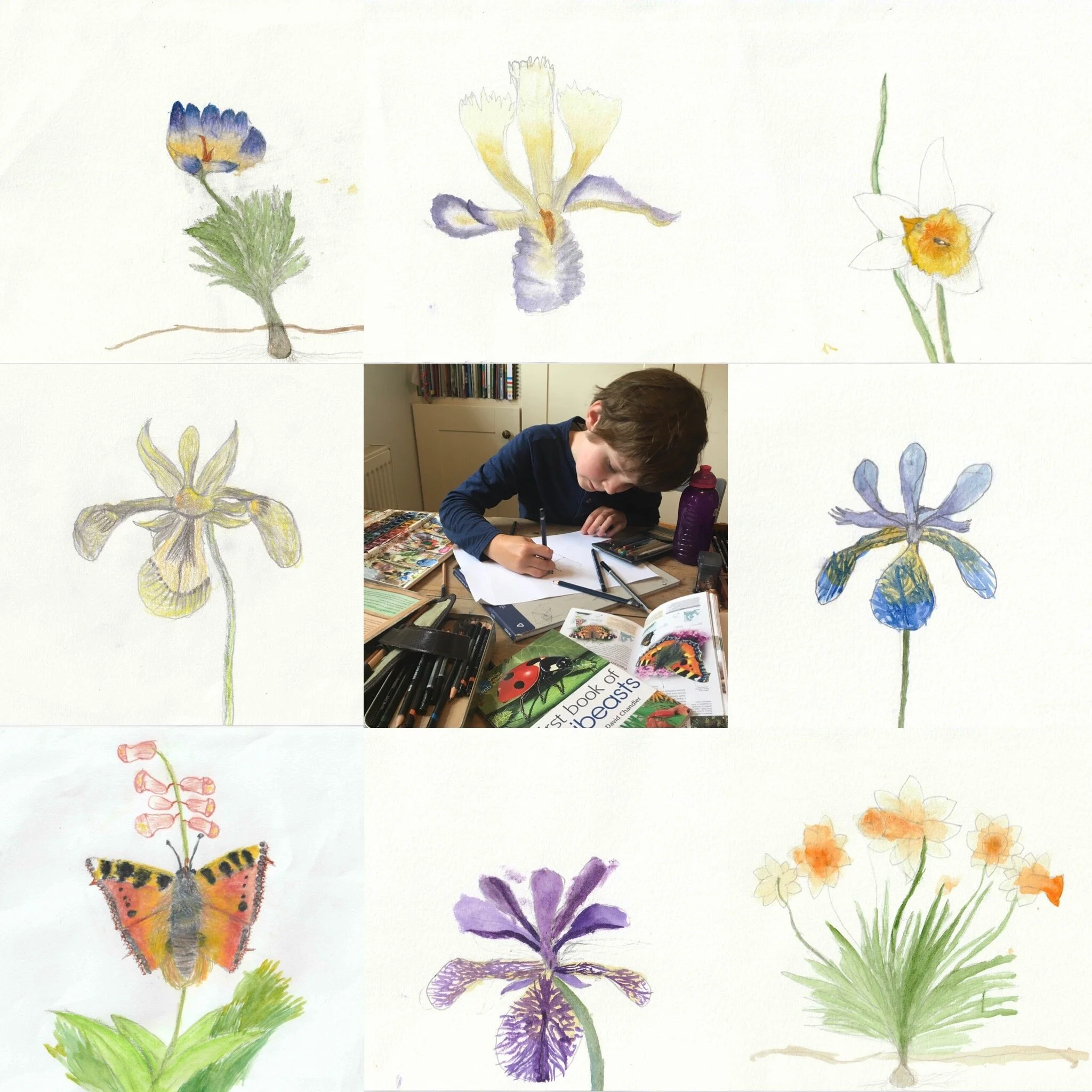 Finding Nature’s Treasures: the adventures of a young naturalist.