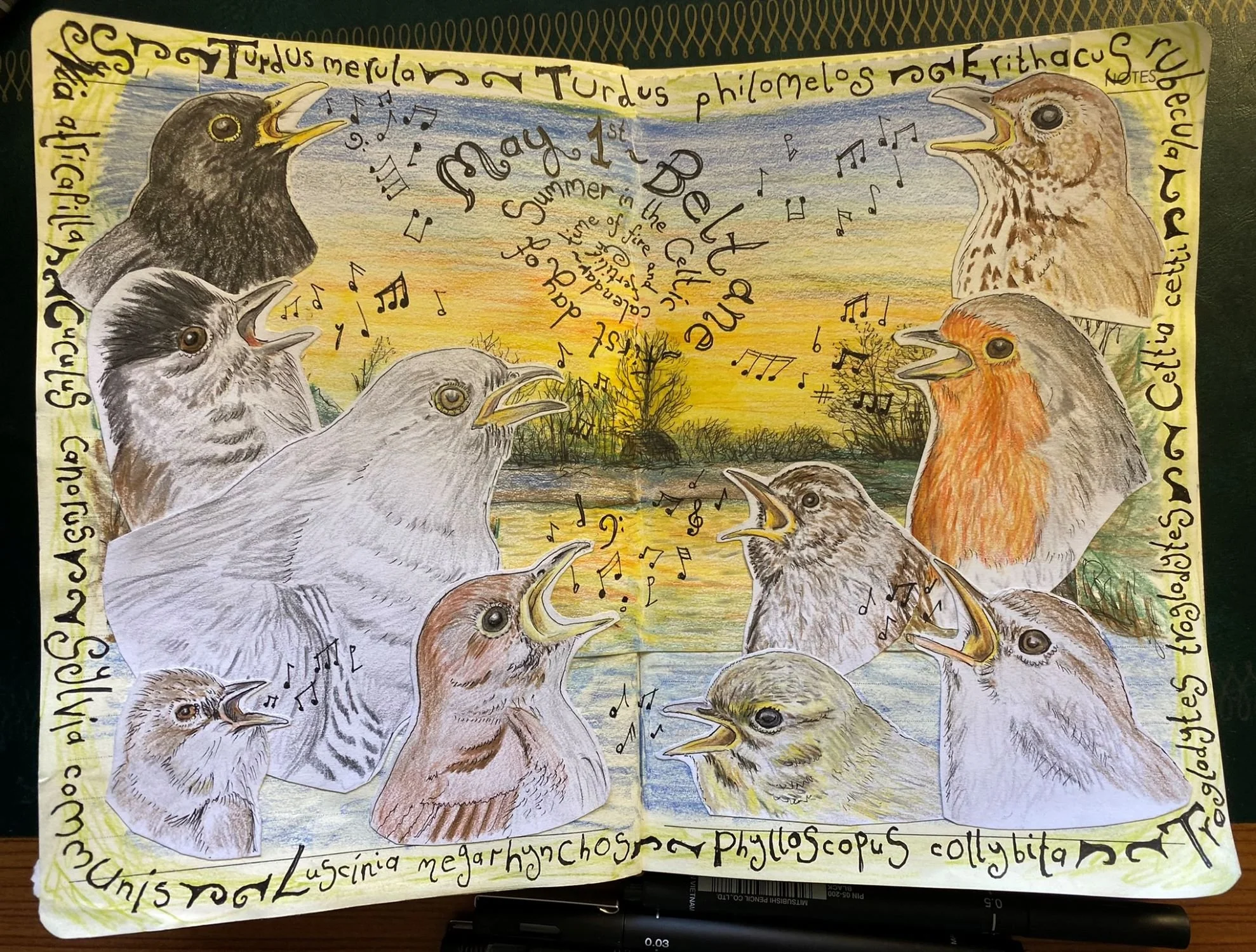 Finding my way through art: How my unexpected life path led me to nature journaling