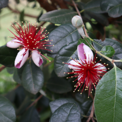 Untitled design (4).png