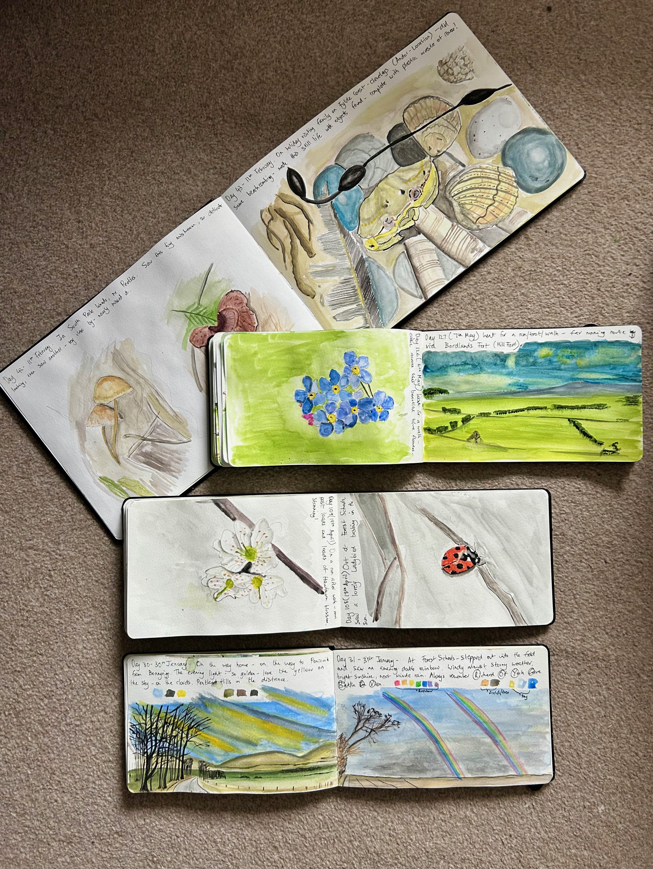 Daily Journal Entry 4/7/20 – Nature Stuff. And a mini paint palette. Of  course. – ThreeSixFiveArt