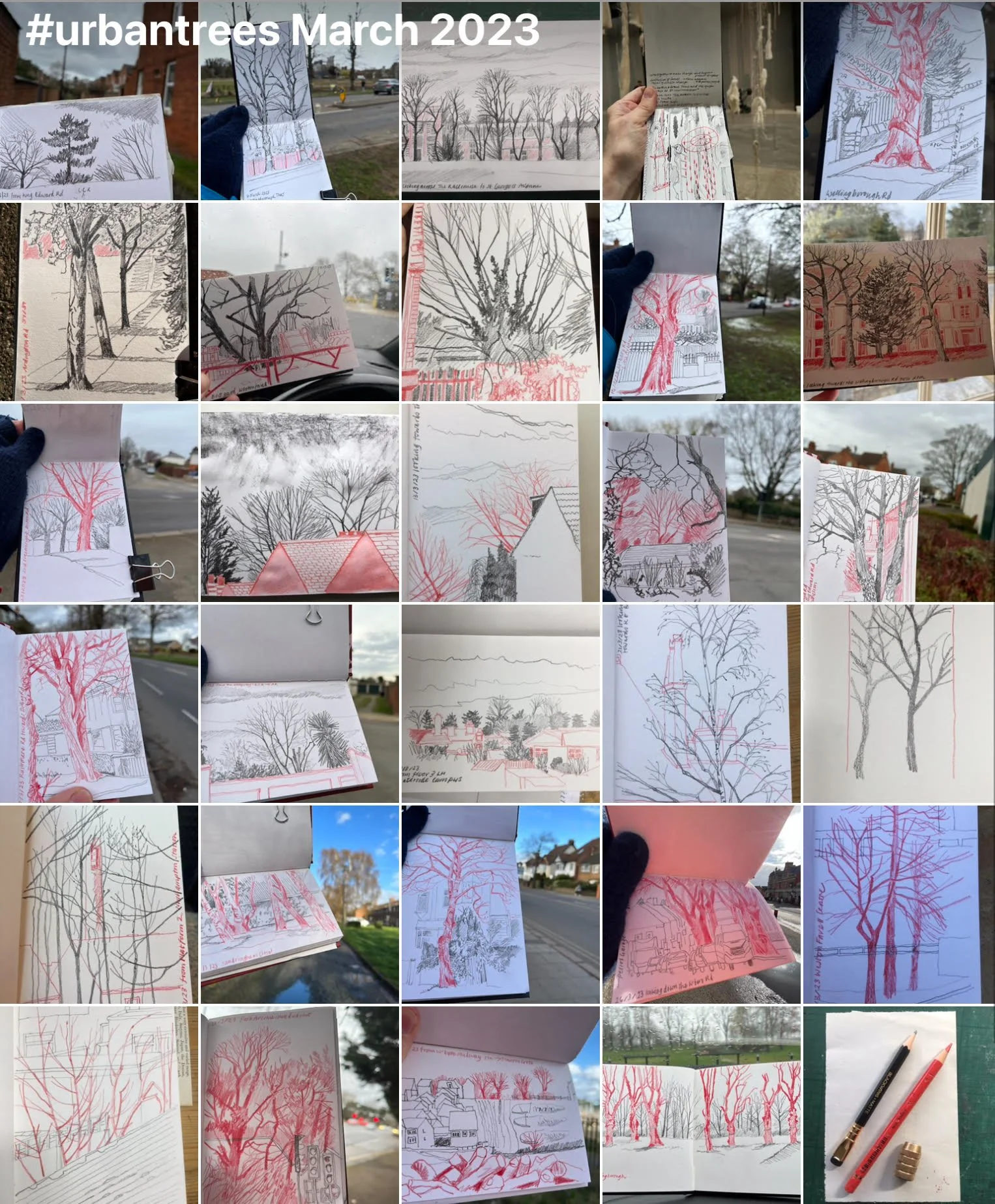 Sketching trees — Nature Journaling Week
