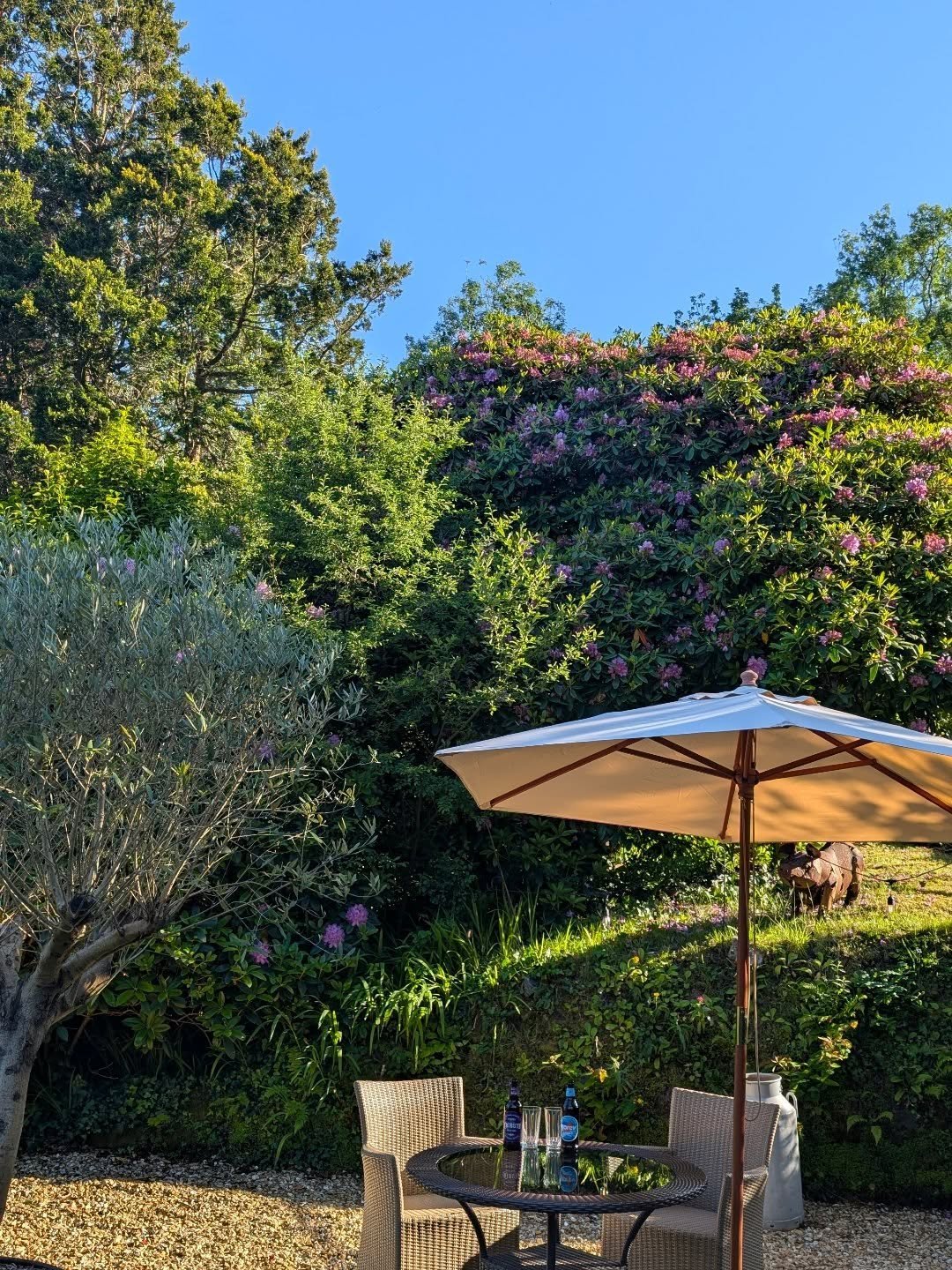Drinks outside on the terrace on evenings like these, just beautiful......

#boscundlemanor #cornwall #summer #holiday #cornwallhotel