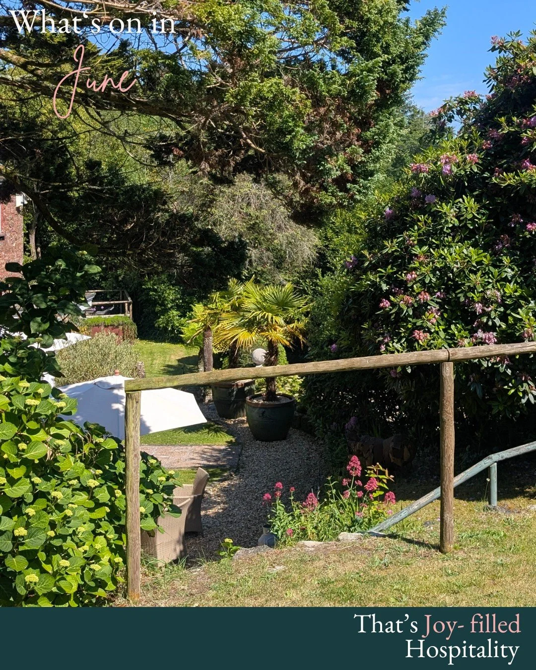 What's on in June!
To book in for Breakfast, Cream Teas, Afternoon Teas and Dinner follow the link in our bio.
To book for Spa Treatments, use the book now button at the top of our page, under our bio.
To book in for a swim or if you have any questio