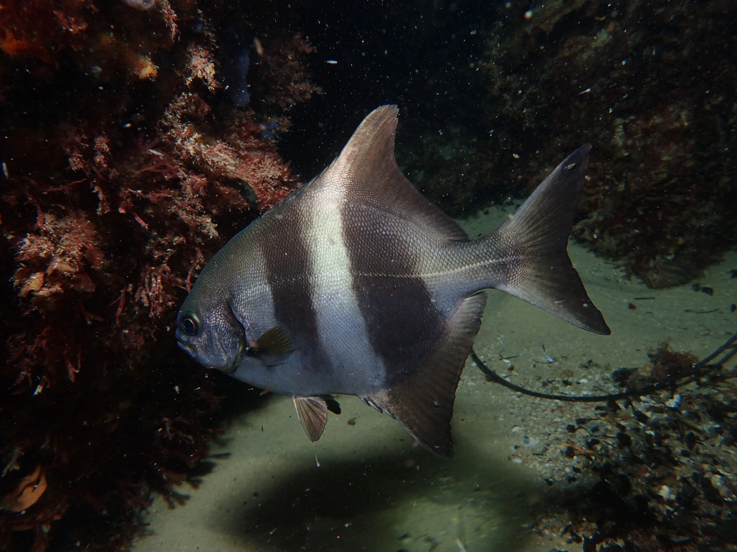 PC110222 - Copy - Copy.JPG