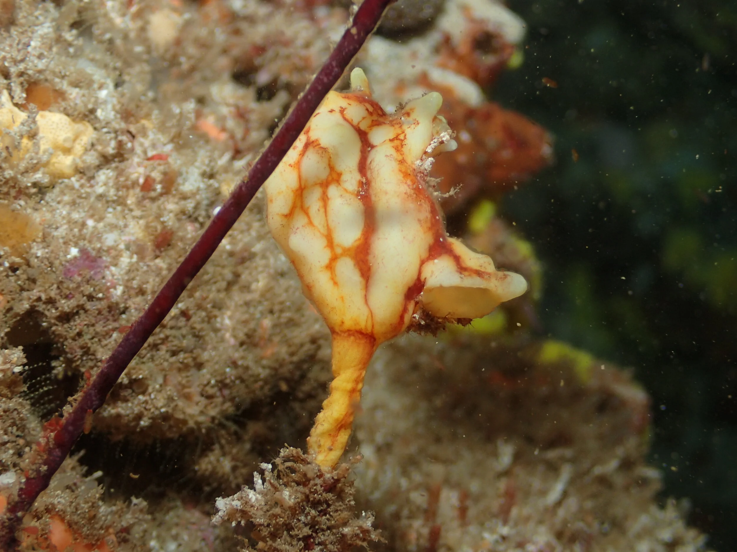 PC240083.JPG