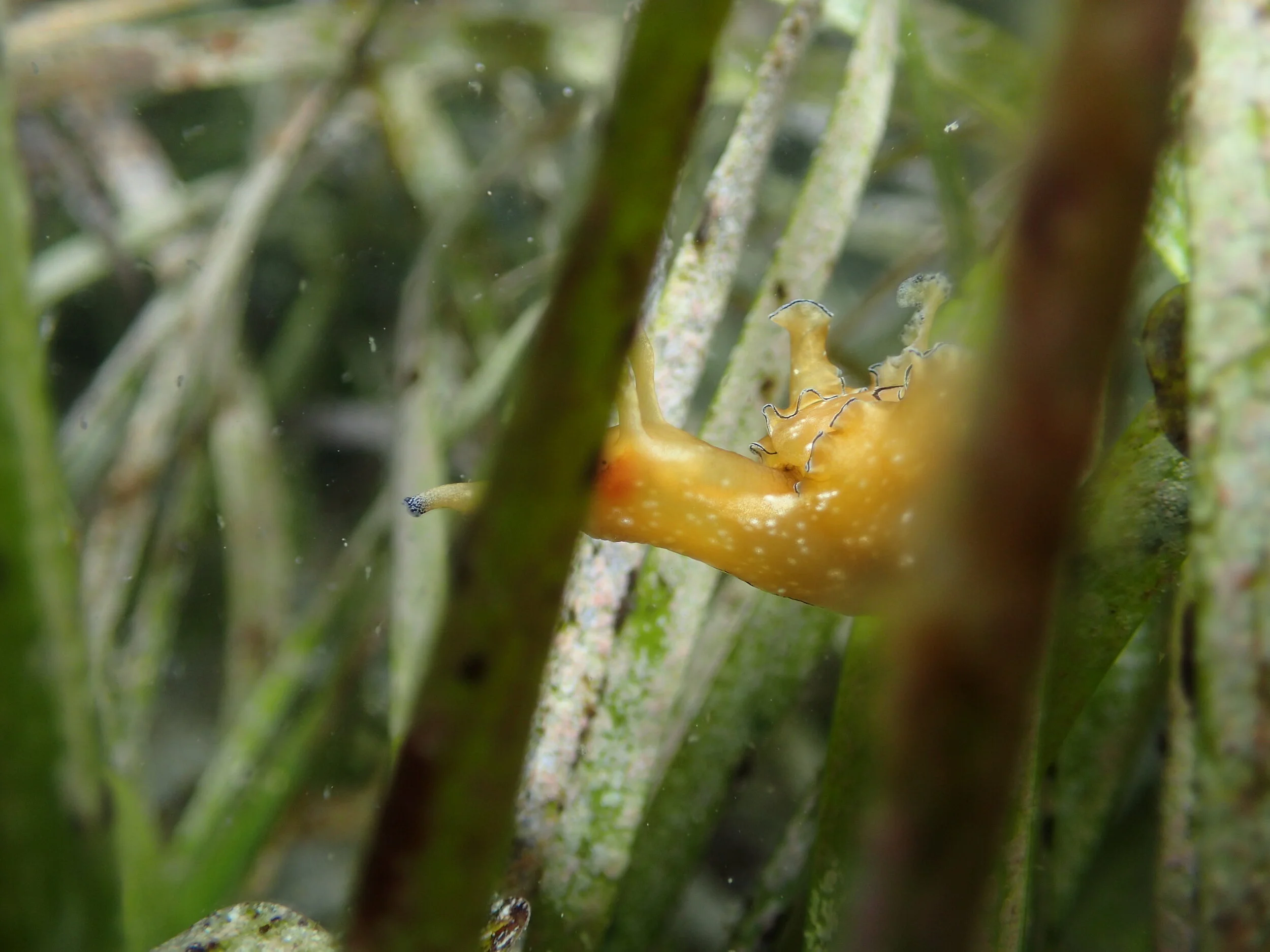 PA310034.JPG