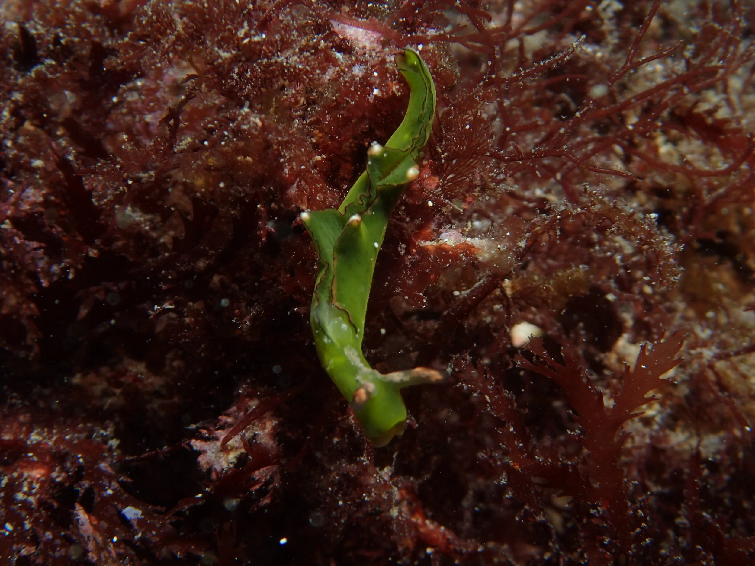 IMG_6339.JPG