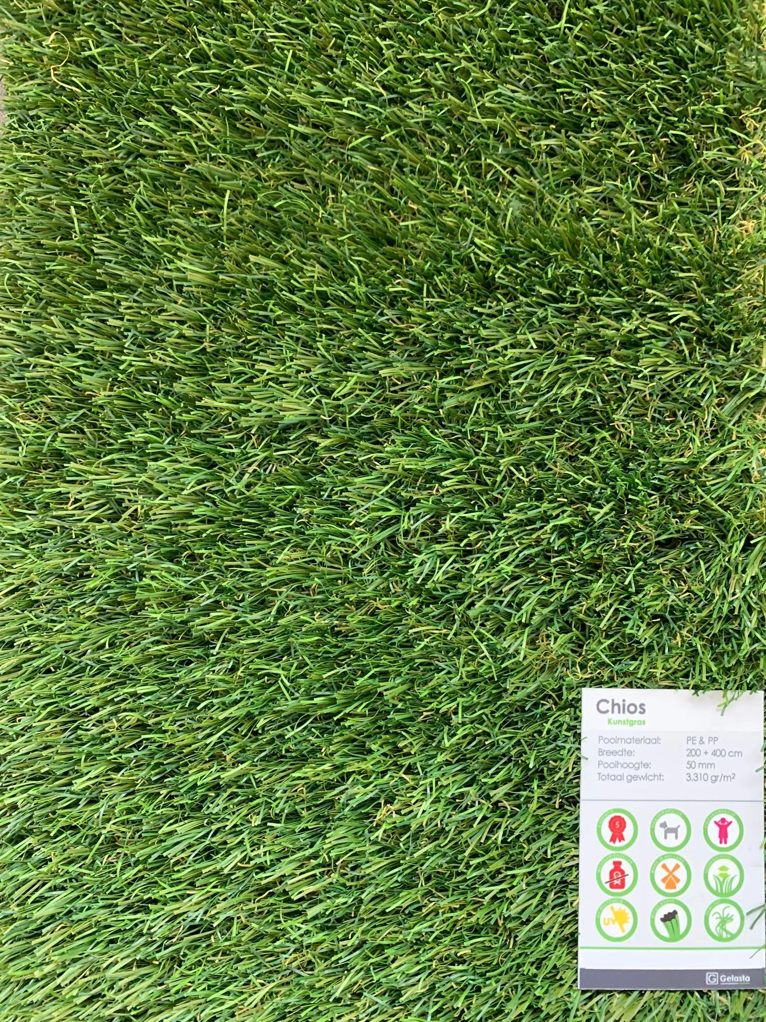 WhatsApp Image 2022-04-30 at 3.26.29 PM.jpeg