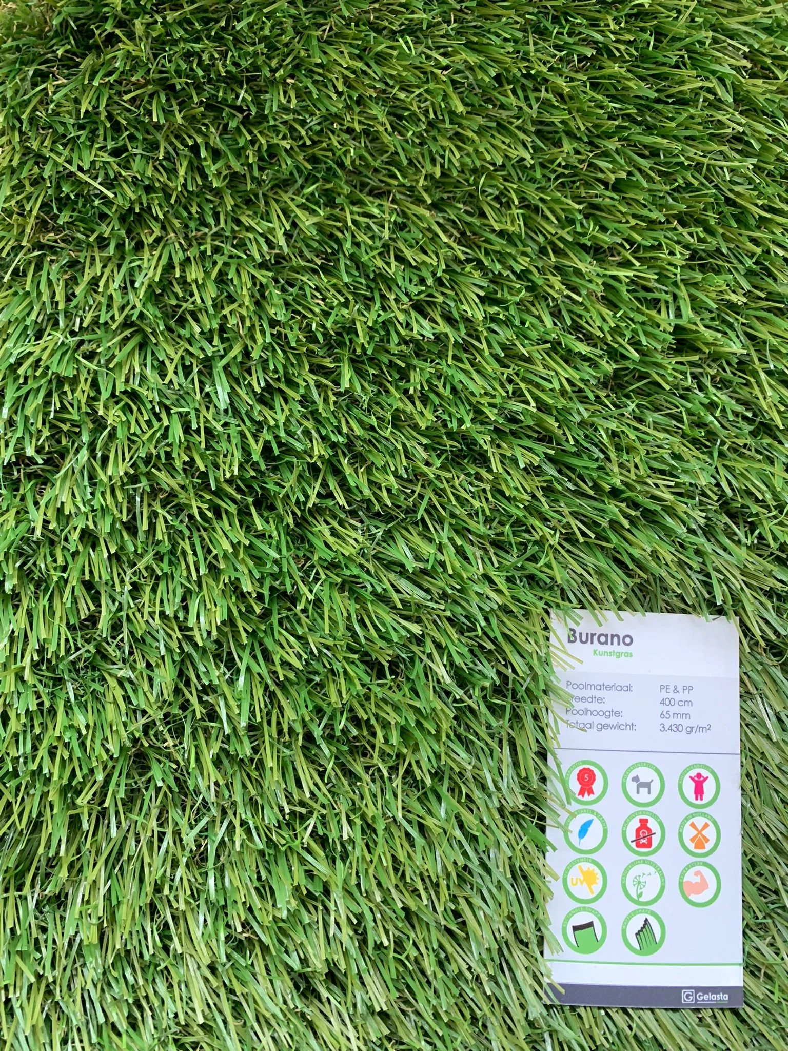 WhatsApp Image 2022-04-30 at 3.26.46 PM.jpeg