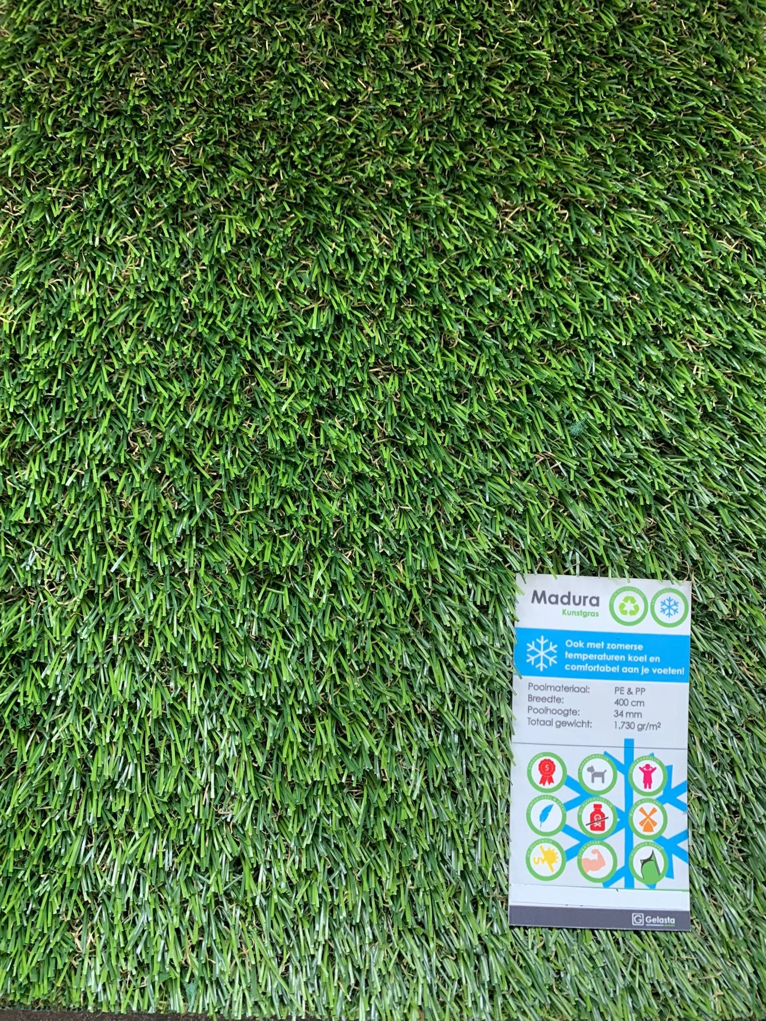 WhatsApp Image 2022-04-30 at 3.26.57 PM.jpeg