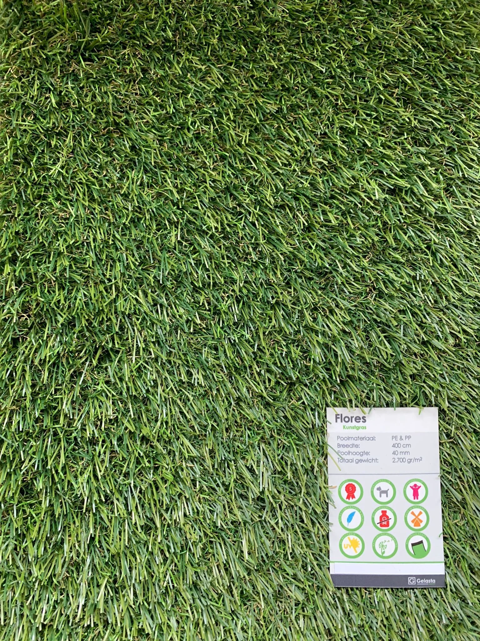 WhatsApp Image 2022-04-30 at 3.27.20 PM.jpeg