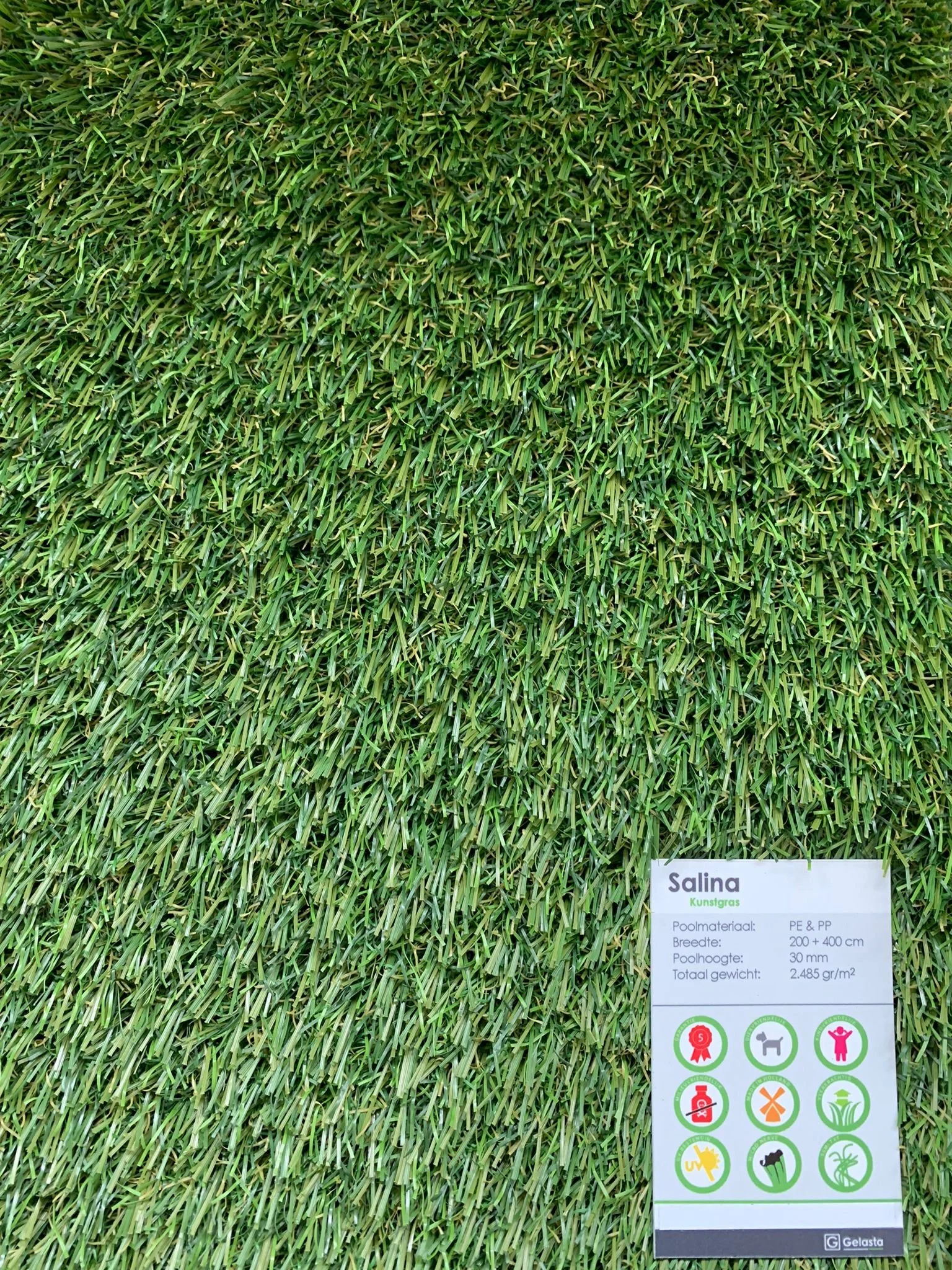 WhatsApp Image 2022-04-30 at 3.27.32 PM.jpeg